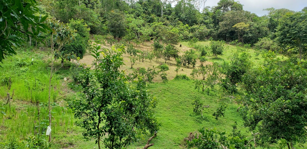 Land for Sale in Panama City Panamá Province 07019